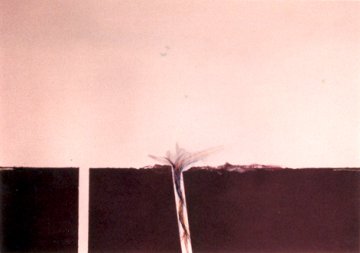 0020 (2)
